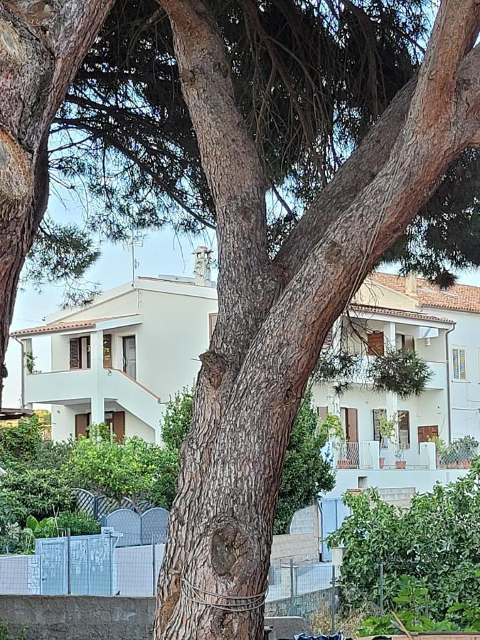 L'Asfodelo Bed & Breakfast La Maddalena  Exterior foto
